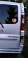 vivaro.jpg