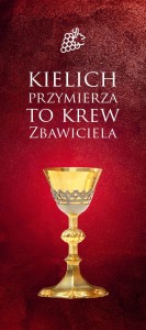 Boże Ciało pierwszy ołtarz - baner E 102