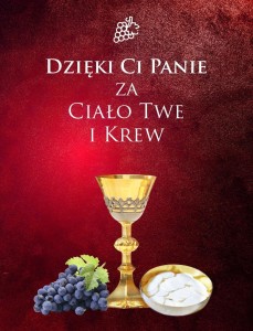 Boże Ciało Eucharystia - baner E 22