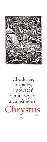 WP 08.jpg