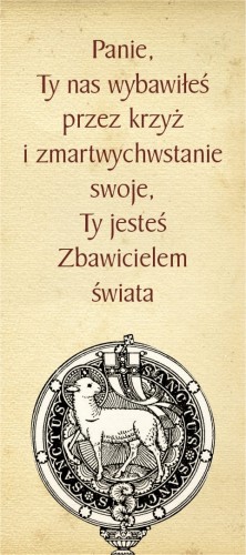WP 04.jpg