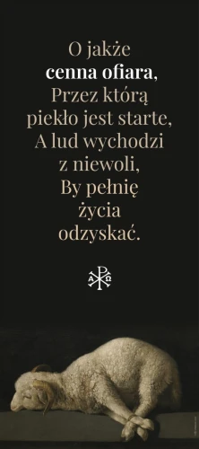 WP52-baranek_80x180.jpg