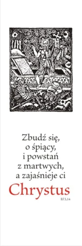 WP 08.jpg