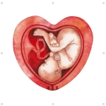 PRO LIFE – baner 01