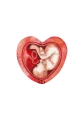 2020-12- naklejki prolife.png