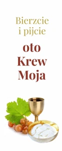 1 Komunia Święta Eucharystia - baner E 04